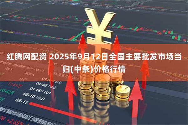 红腾网配资 2025年9月12日全国主要批发市场当归(中条)价格行情