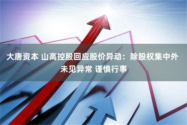 大唐资本 山高控股回应股价异动：除股权集中外 未见异常 谨慎行事