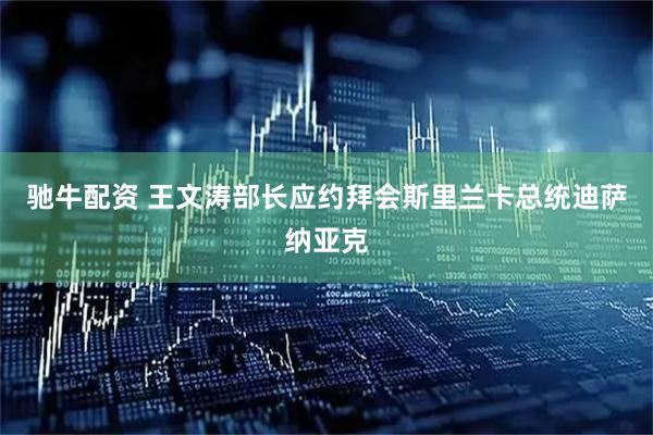 驰牛配资 王文涛部长应约拜会斯里兰卡总统迪萨纳亚克
