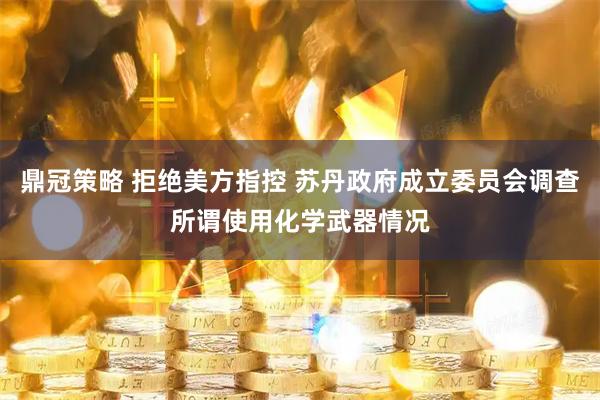 鼎冠策略 拒绝美方指控 苏丹政府成立委员会调查所谓使用化学武器情况