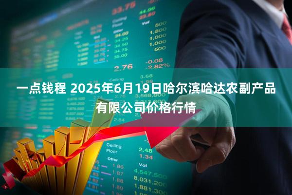 一点钱程 2025年6月19日哈尔滨哈达农副产品有限公司价格行情